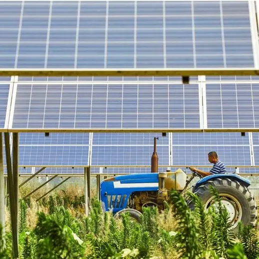 Harvesting the sun twice: How Agri-PV can create cheap energy and crops in the MENA Region