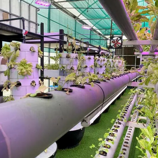 State-of-the-art Vertical Farm launched in Dubai Industrial City