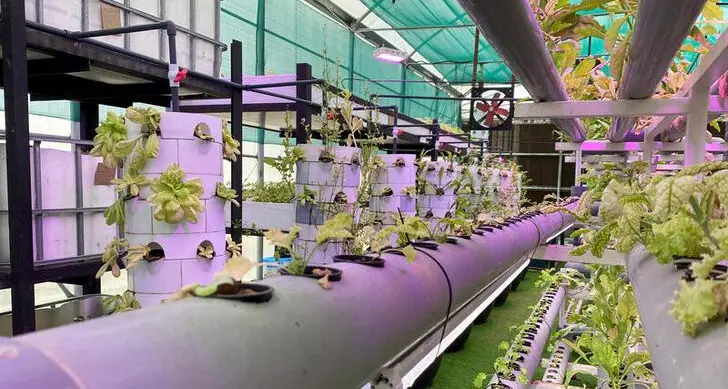 State-of-the-art Vertical Farm launched in Dubai Industrial City