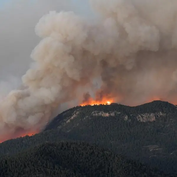 First major fire of year destroys 3,000 hectares in Spain