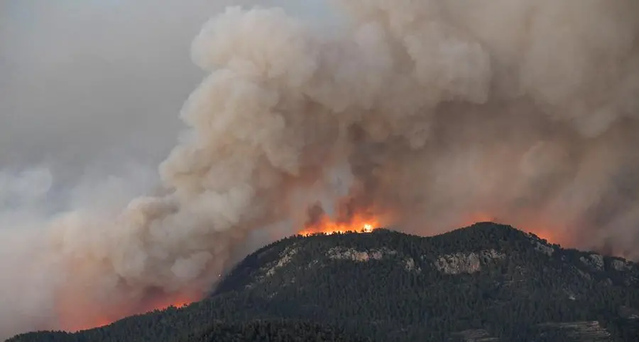 First major fire of year destroys 3,000 hectares in Spain