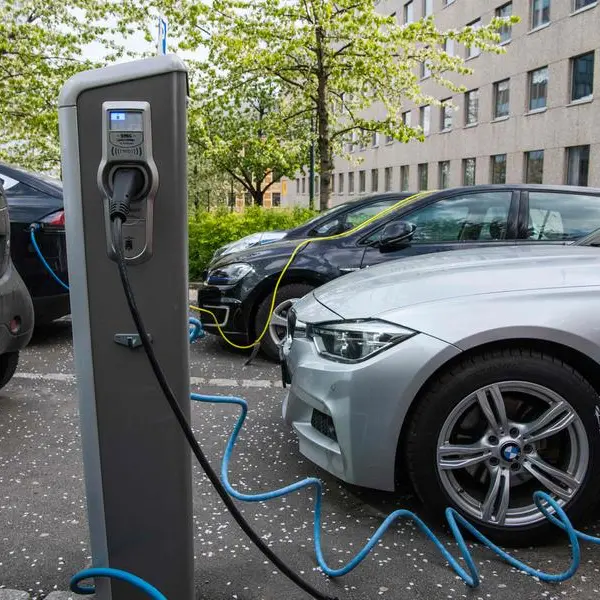 One in five cars on Norway's roads are electric