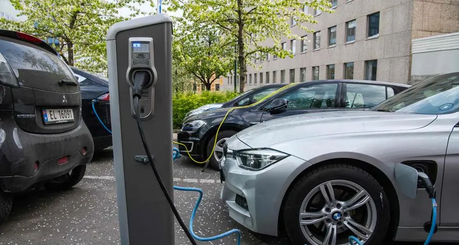 One in five cars on Norway's roads are electric