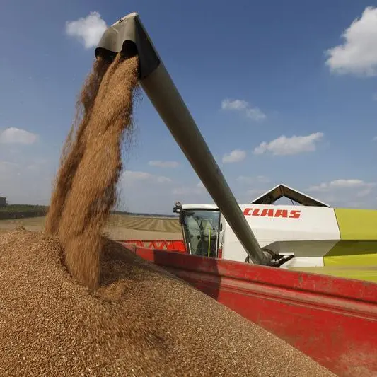 Wheat higher with Russia-Ukraine tensions in focus