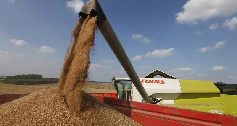 Wheat higher with Russia-Ukraine tensions in focus