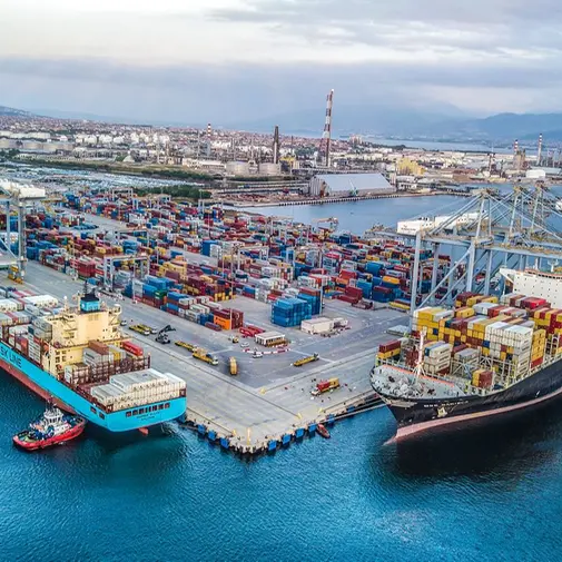 DP World, Turkish Evyap Group forge new logistics hub