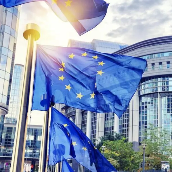 Arab Parliament welcomes EU's decision to include Houthi militia on its consolidated black list