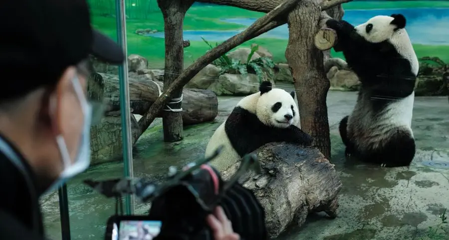 Japan bids farewell to four pandas returning to China