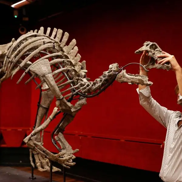 Dinosaur known as 'Barry' goes on sale in rare Paris auction