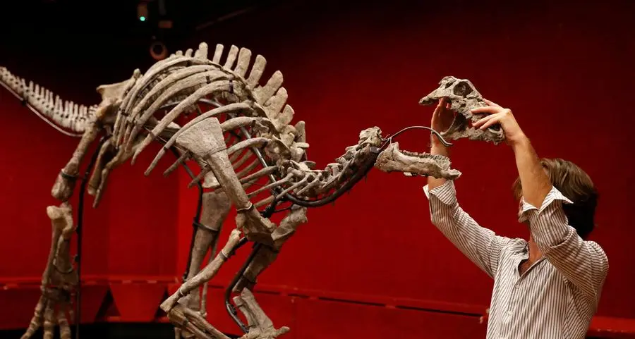 Dinosaur known as 'Barry' goes on sale in rare Paris auction