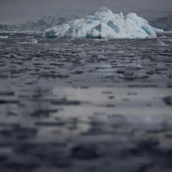 Antarctic winter sea ice hits 'extreme' record low