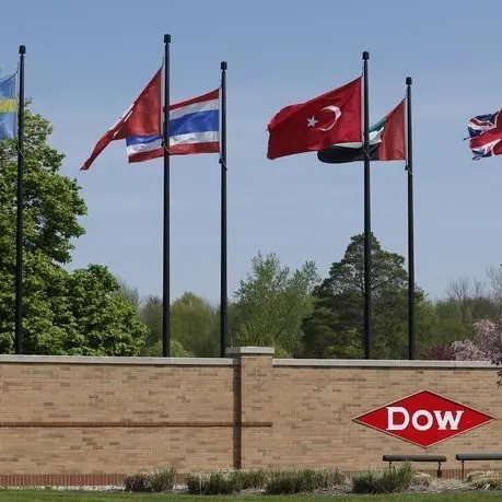 Dow Chemical to convert $4 bln of preferred shares into equity