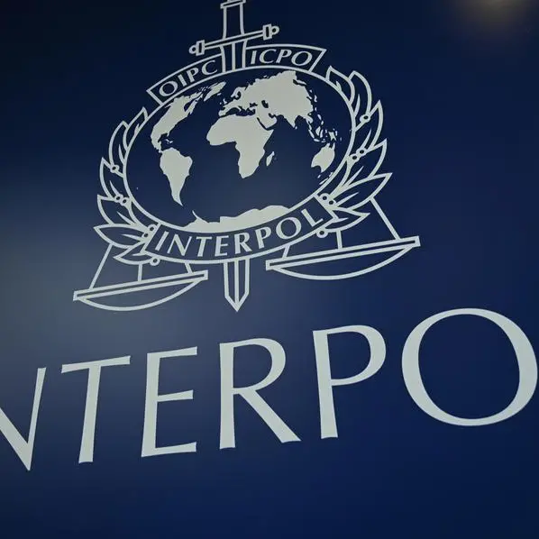 Interpol says 11,000 stolen artefacts seized in Europe crackdown