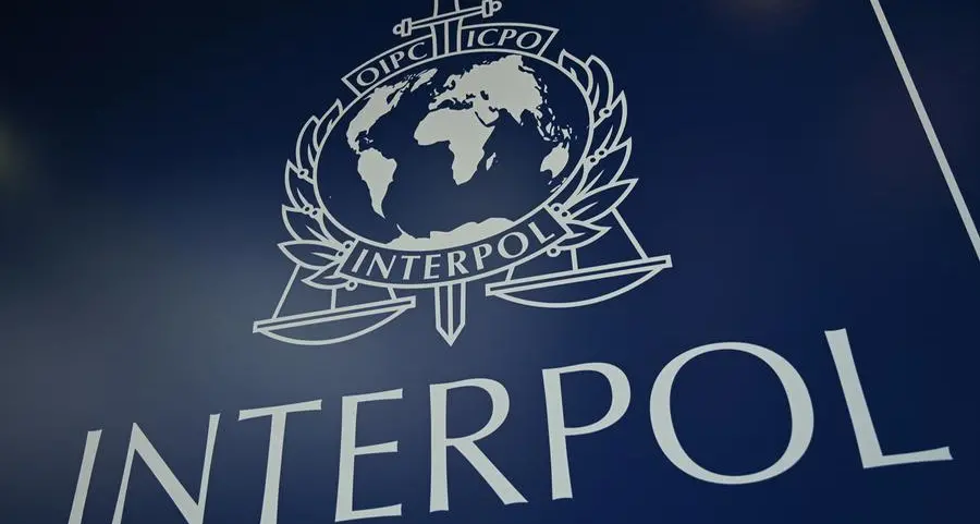 Interpol says 11,000 stolen artefacts seized in Europe crackdown