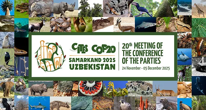 COP20 kicks off in Uzbekistan with US and UAE pushing for stronger controls on endangered species trade