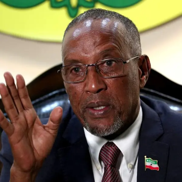 Somaliland says planned presidential poll not viable and postpones to next year