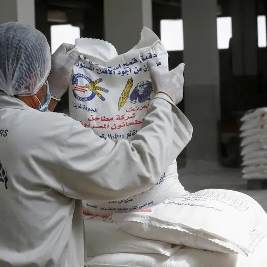 Middle and West Delta Flour Mills’ net profit rise 26.6% YoY in FY 2022/23: Egypt