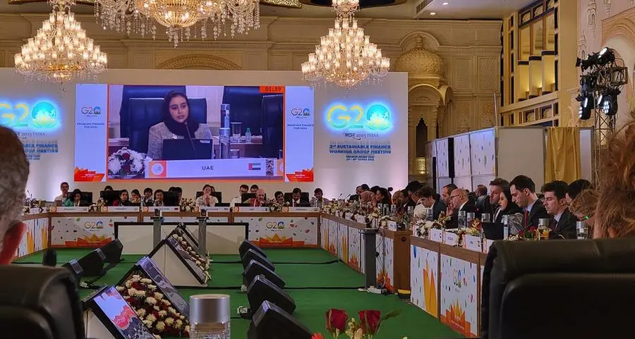 UAE participates in the second sustainable finance working group meeting within the G20 finance track for 2023