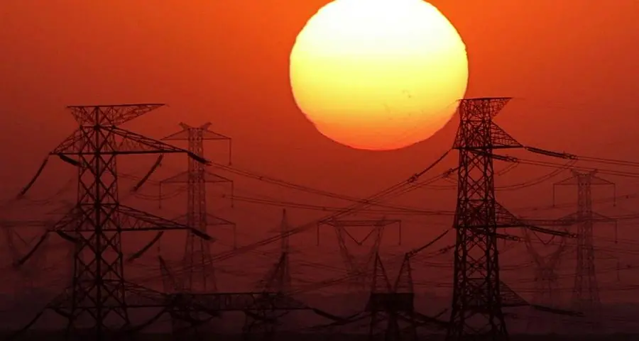 Egypt-Saudi power grid to be ready on time: official