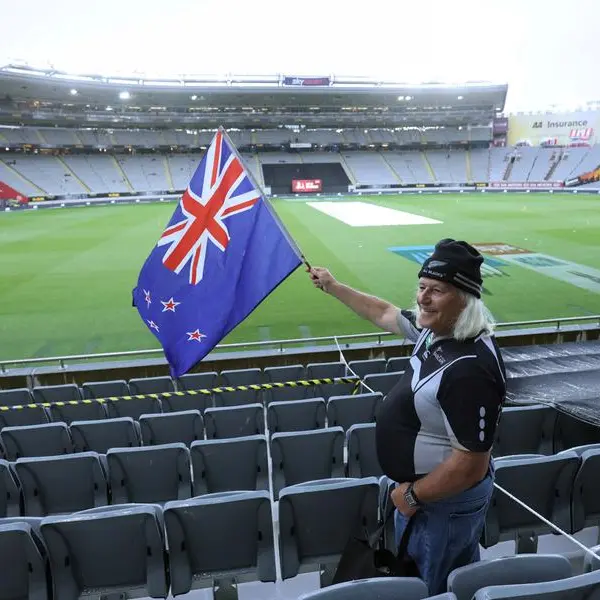 Bazeley named head coach of New Zealand's All Whites