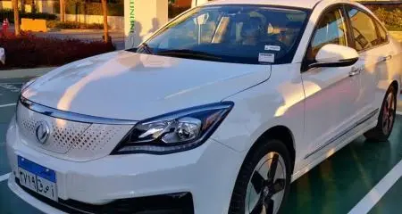 Bridgestone and AL Nasr collaborates to launch electric vehicles in the Egyptian market