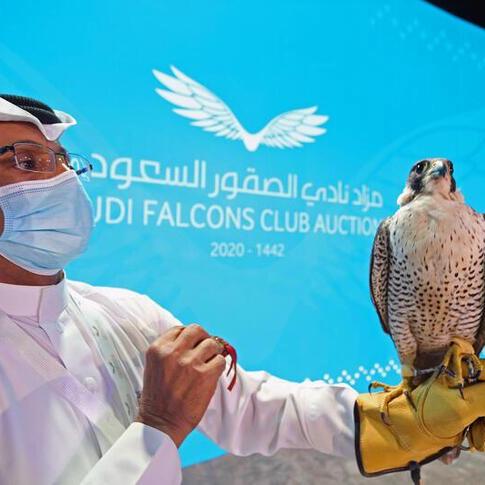 Over 550,000 to attend international falcons expo in Riyadh