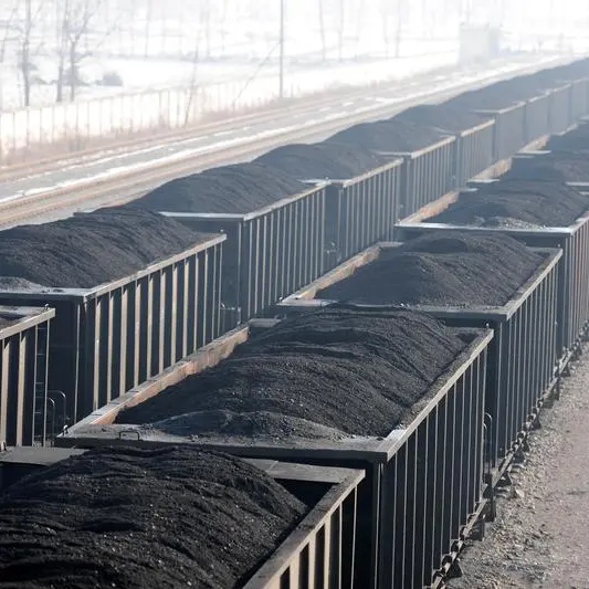 China curbs coal imports after 5 months of record inflows - sources