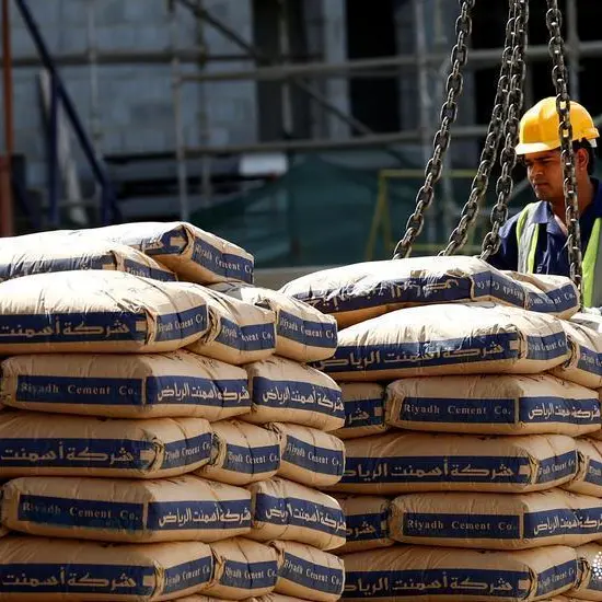 Egypt's Moukhtar Ibrahim defers infrastructure project in Saudi Arabia