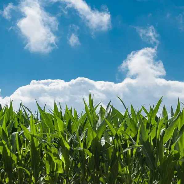 Agro Food Park: Pioneering a sustainable and greener future for agriculture and food