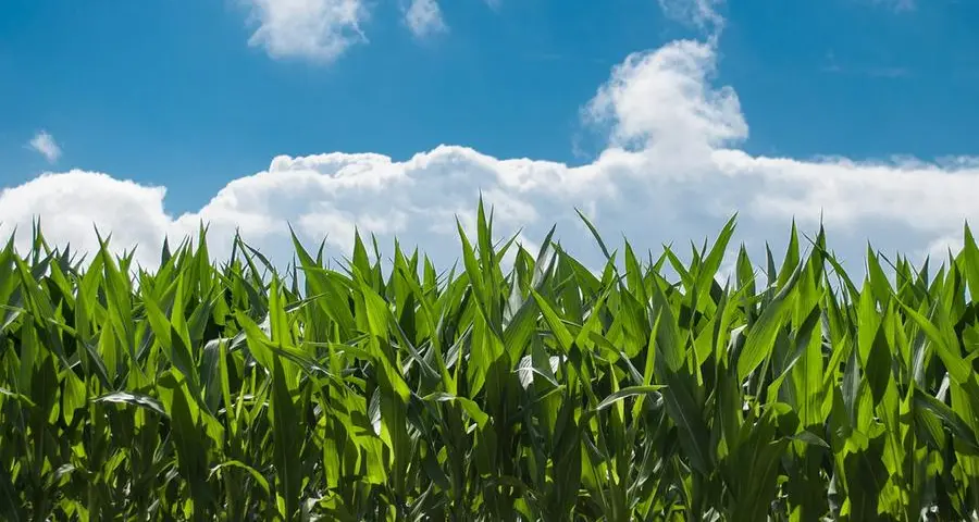 Agro Food Park: Pioneering a sustainable and greener future for agriculture and food