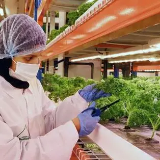 Informatica partners with Emirates Flight Catering to build a smarter, data-driven catering operation