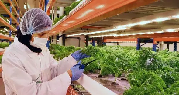 Informatica partners with Emirates Flight Catering to build a smarter, data-driven catering operation