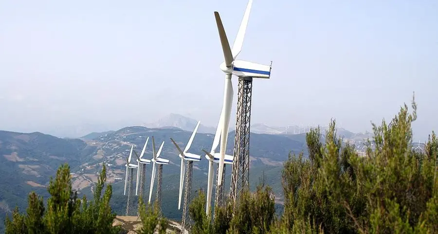 ACWA Power considers bringing on Oman as investor for Suez wind energy project