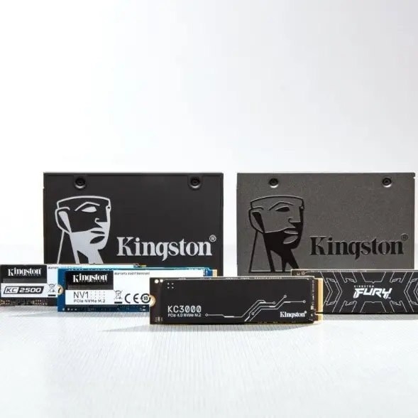 Kingston Technology tops list of supplier channel SSD shipments in 2021