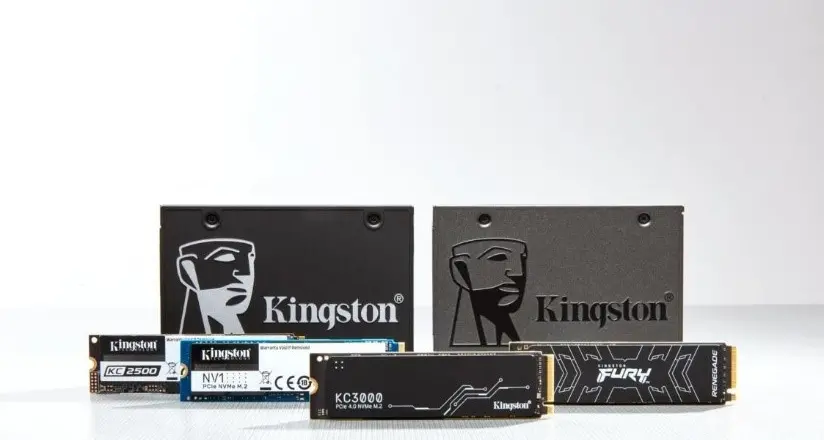 Kingston Technology tops list of supplier channel SSD shipments in 2021