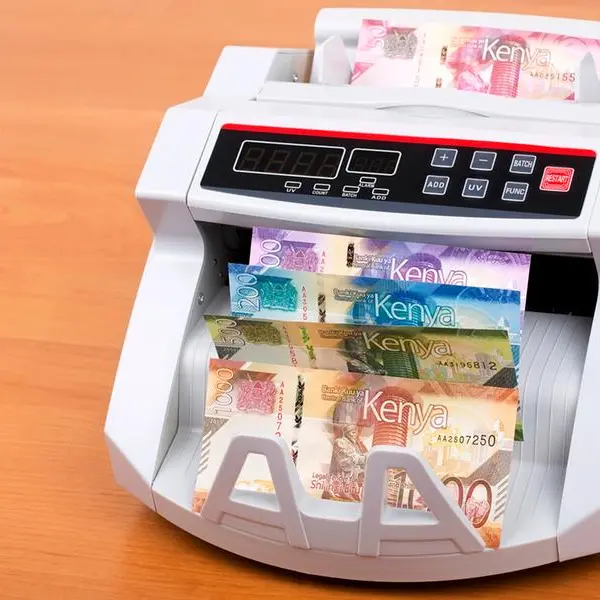 Kenya offers 11 state companies for sale