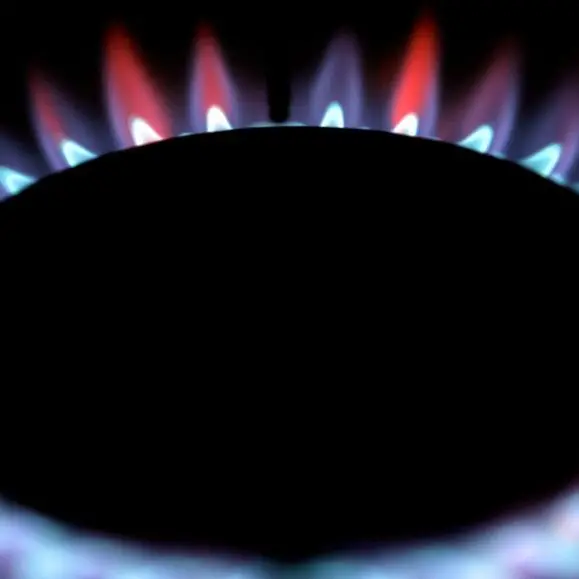 China policy reform to end losses for city-gas firms on household sales