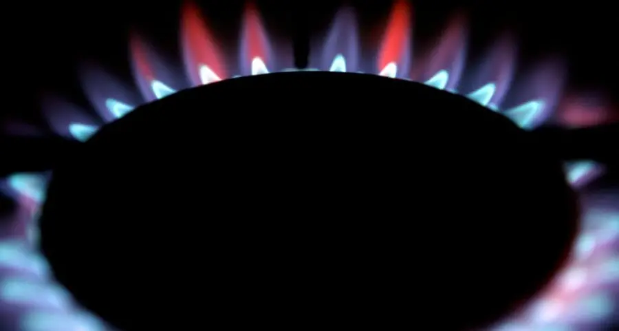 China policy reform to end losses for city-gas firms on household sales