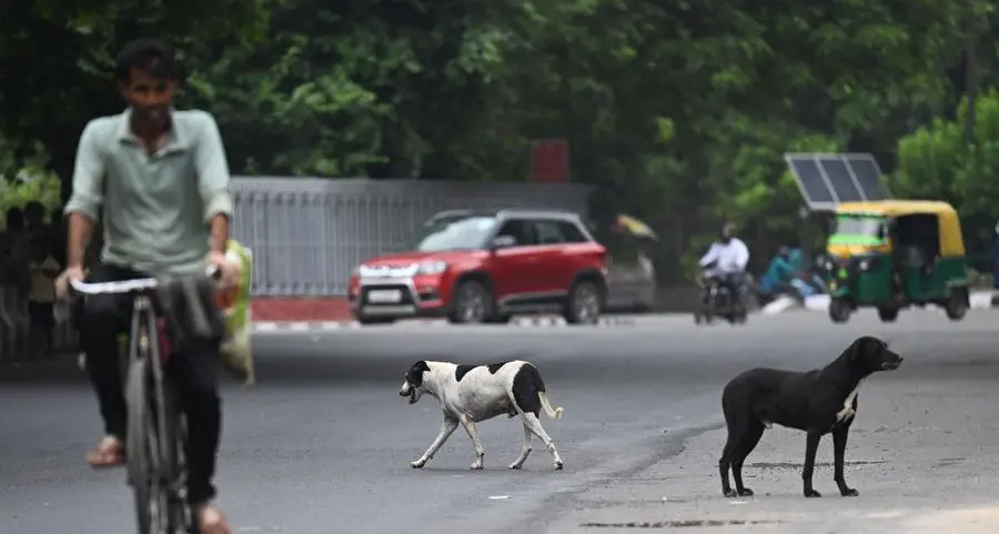 New Delhi to hide street dogs ahead of G20 summit