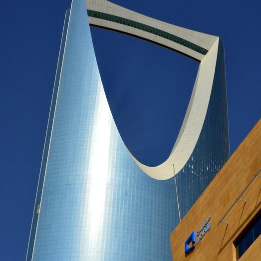 Saudi's Mobily won't sell towers as profits grow to highest level in 8 years: CEO