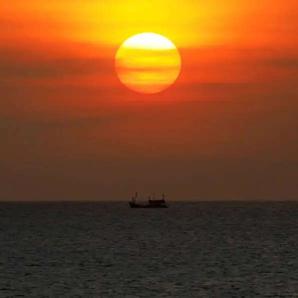 Cleaner shipping fuel is contributing to ocean warming, scientists say