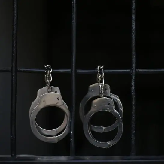 RAK Investment Authority's former CEO to be jailed for 15 years