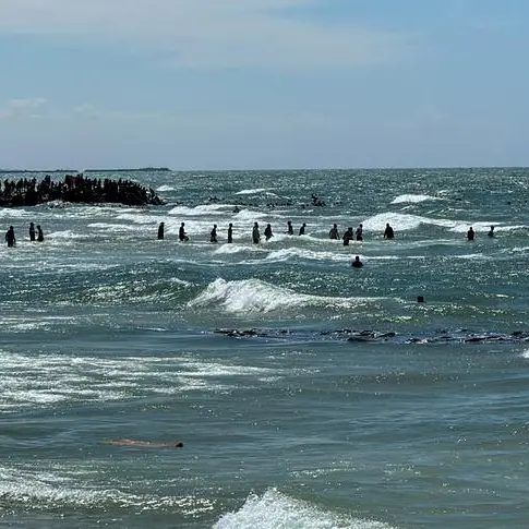 Gaza fisherman braves Israeli navy fire to support his family