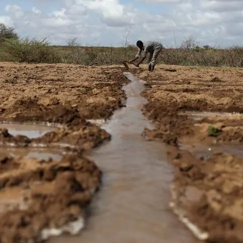How can drought-parched Somalia break out of endless crisis?