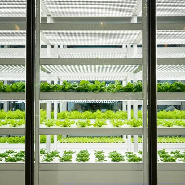 PIF announces vertical farming JV with US-based AeroFarms