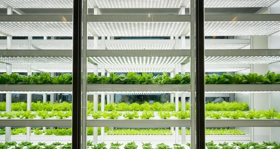 PIF announces vertical farming JV with US-based AeroFarms