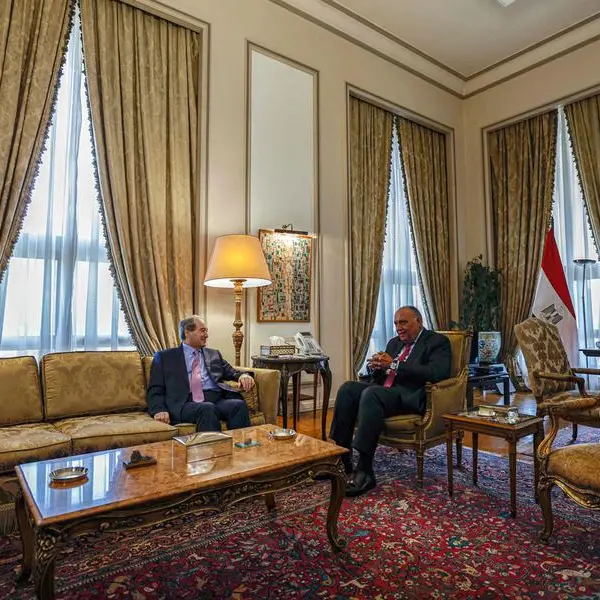 Syria top diplomat visits Egypt in first since war