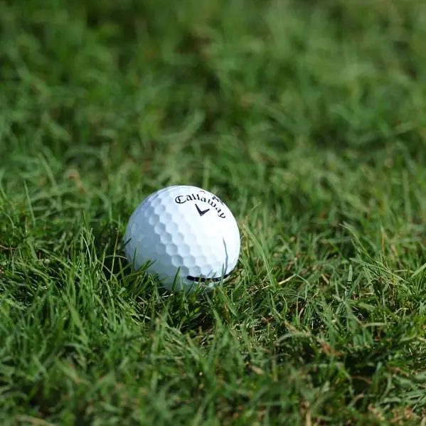 Halago clinches championship trophy at FIGME's 16th season opener