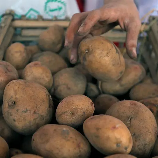 Trade, investment ministers inaugurate $40mln Farm Frites factory in 10th of Ramadan