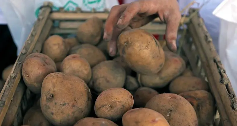 Trade, investment ministers inaugurate $40mln Farm Frites factory in 10th of Ramadan